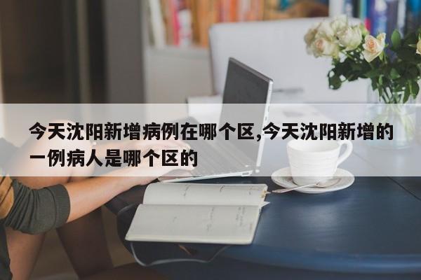 今天沈阳新增病例在哪个区,今天沈阳新增的一例病人是哪个区的
